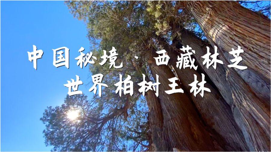 易币付链接游戏画面